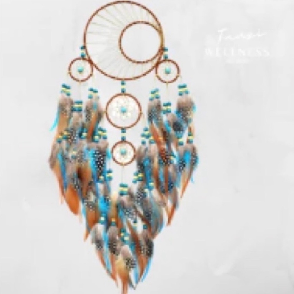 Dreamcatcher with Feathers